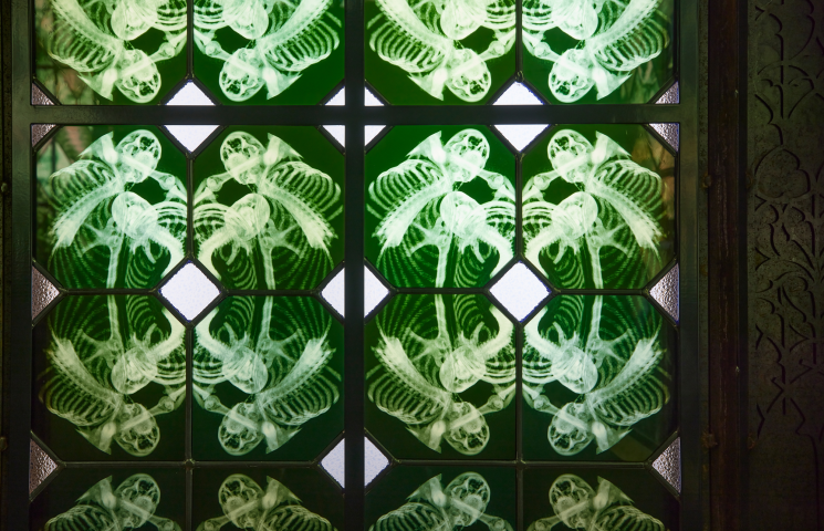 Katheadrale Details 5 b