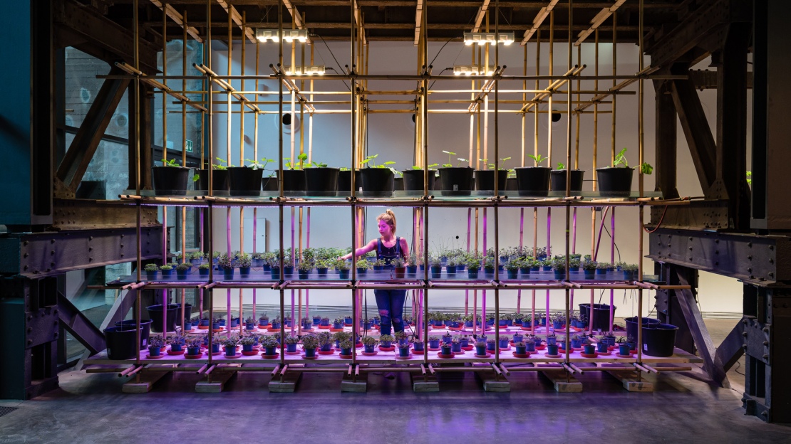 Future Lab Plant Factory I