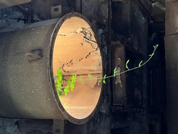 preview Industrie Natur Impression WKE RB