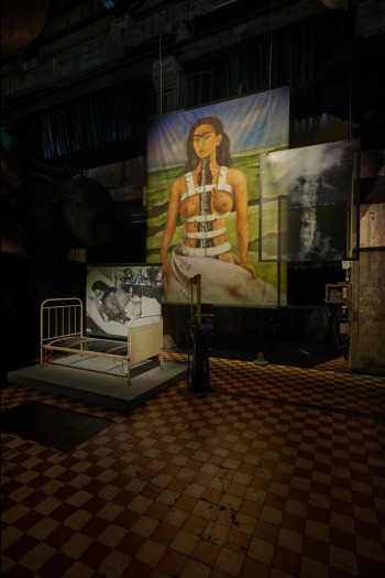 preview 25 X RAY Frida Kahlo 02