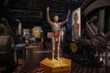 preview X RAY Durchleuchtung des Koerpers 03