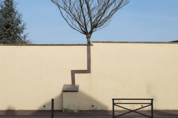 preview Larbre magique c OX 25cm