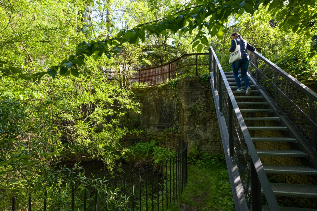 WKE Tag offenen Tuer 2023 31954