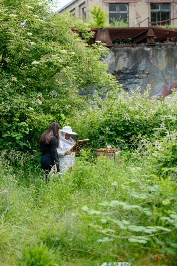 UNESCO Welterbetag 93313