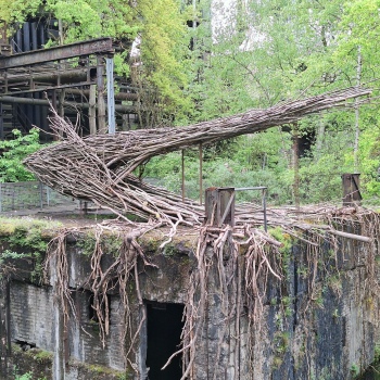 Benjamin Duquenne REGENERA BD