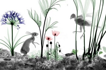 preview Arie van t Riet Biorama Scene 1 beschnitten