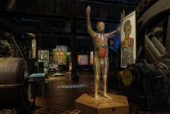 preview X RAY Durchleuchtung des Koerpers 03