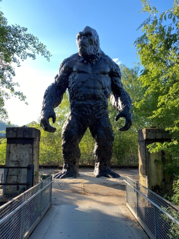 preview KingKong Foto Ralf Beil